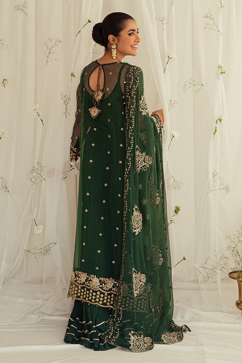 EMERALD CEYLON-4PC ORGANZA EMBROIDERED SUIT