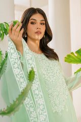 MINT LEAF-2PC (SHIRT & DUPATTA)