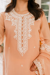 CRAYOLA PEACH-2PC (SHIRT & DUPATTA)