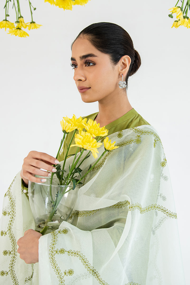 WOOD BINE-2PC (SHIRT & DUPATTA)