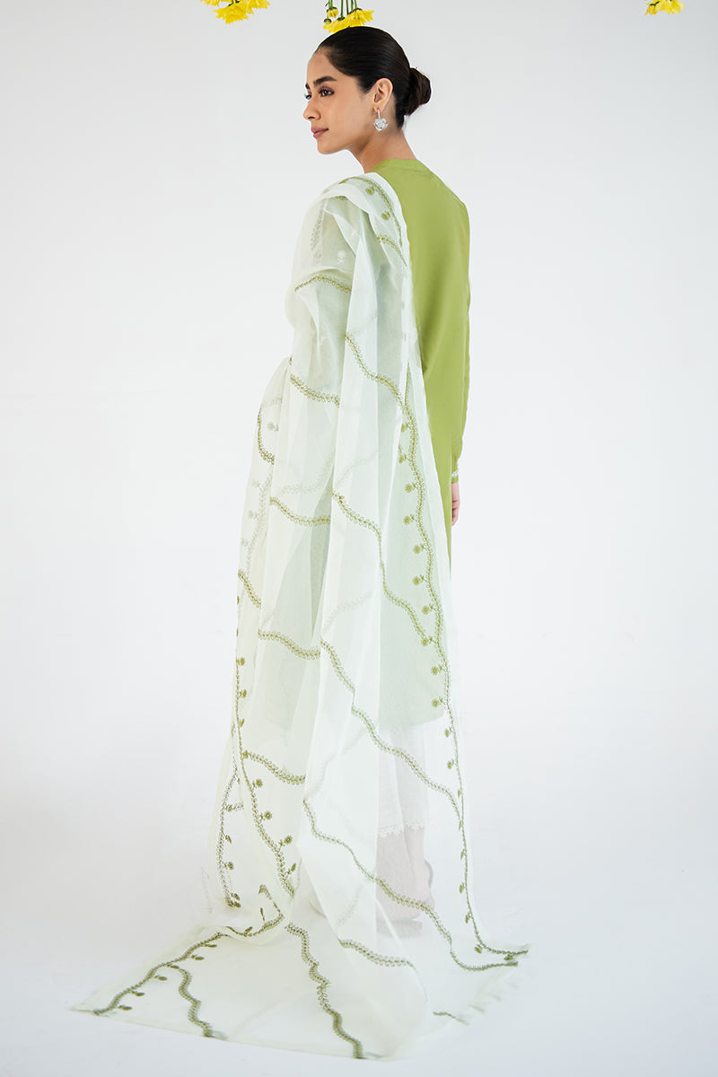 WOOD BINE-2PC (SHIRT & DUPATTA)