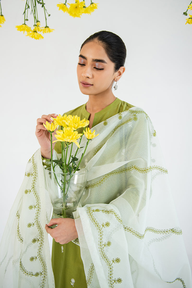 WOOD BINE-2PC (SHIRT & DUPATTA)
