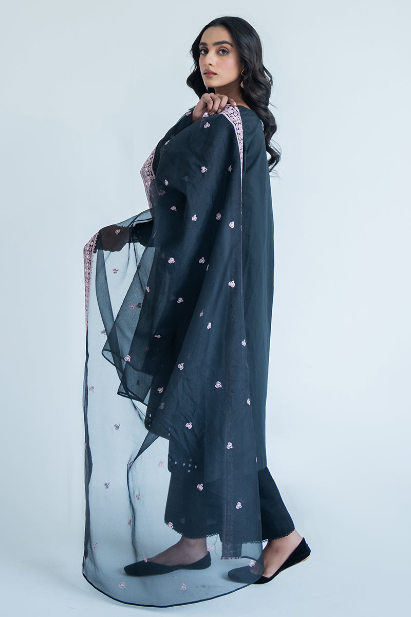 PALWASHAY-2PC(SHIRT & DUPATTA)