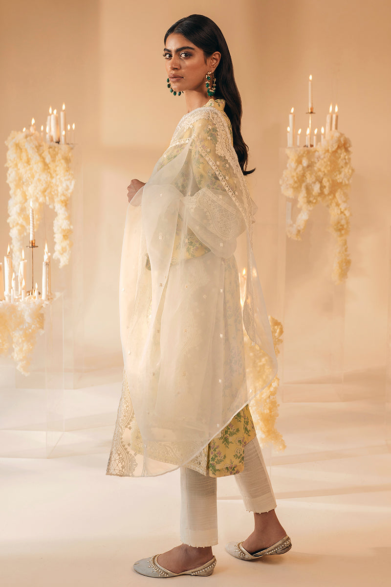 ORCHID RAY-2PC (SHIRT & DUPATTA)