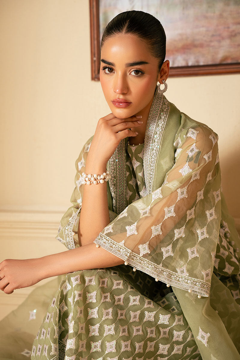 MINTED SAGE-4 PIECE EMBROIDERED ORGANZA SUIT