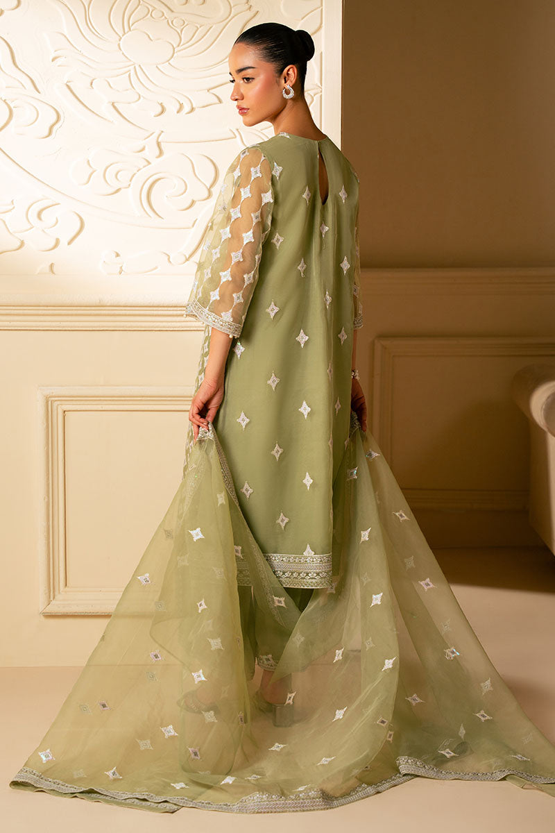 MINTED SAGE-4 PIECE EMBROIDERED ORGANZA SUIT