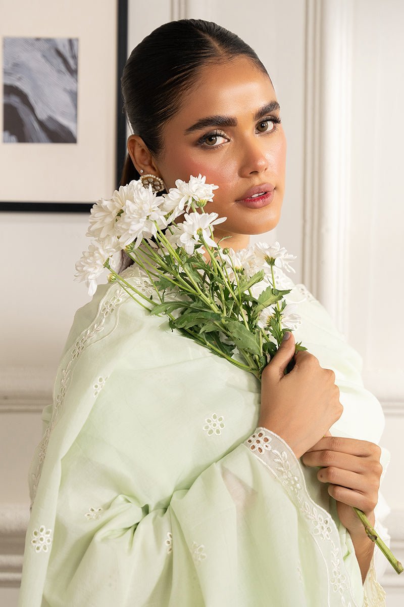 MYSTIC MINT-2 PC (SHIRT & DUPATTA)