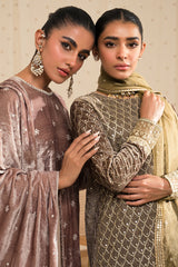 CHAANDNI-3PC VELVET EMBROIDERED PRET