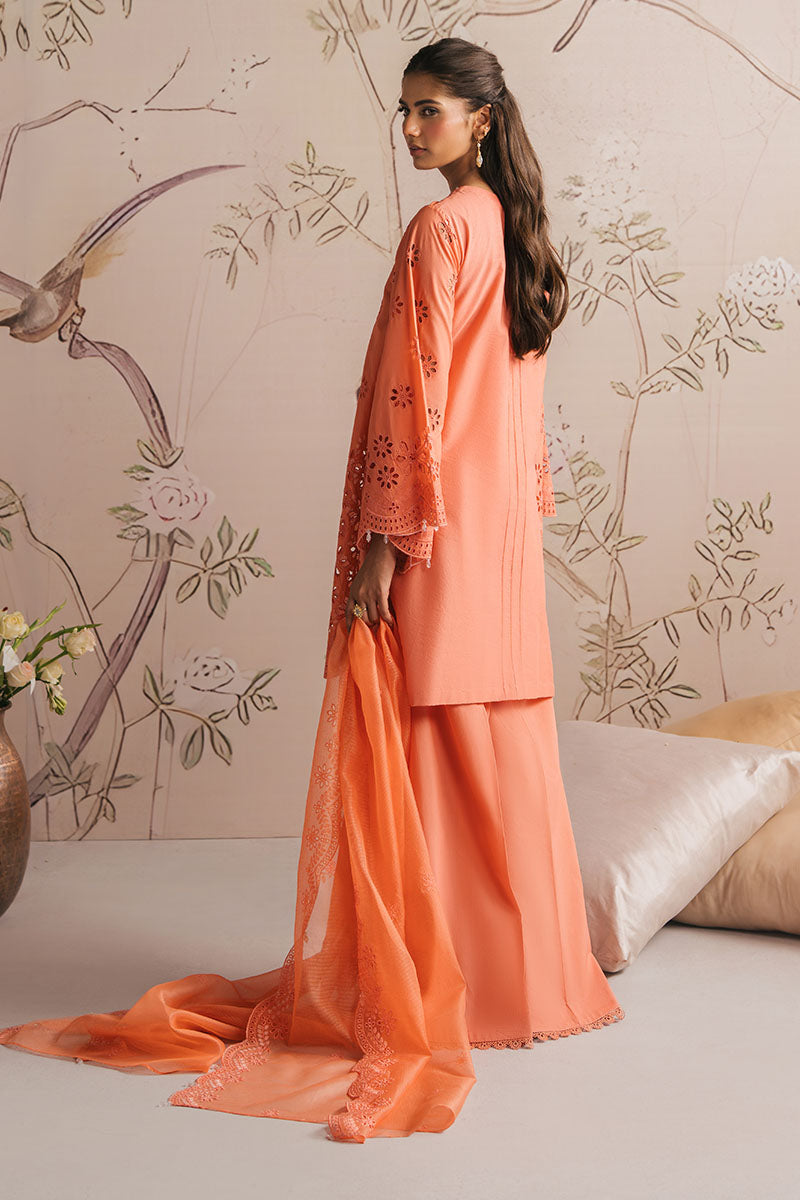 PORCELAIN MELODY-3PC CHIKANKARI SUIT
