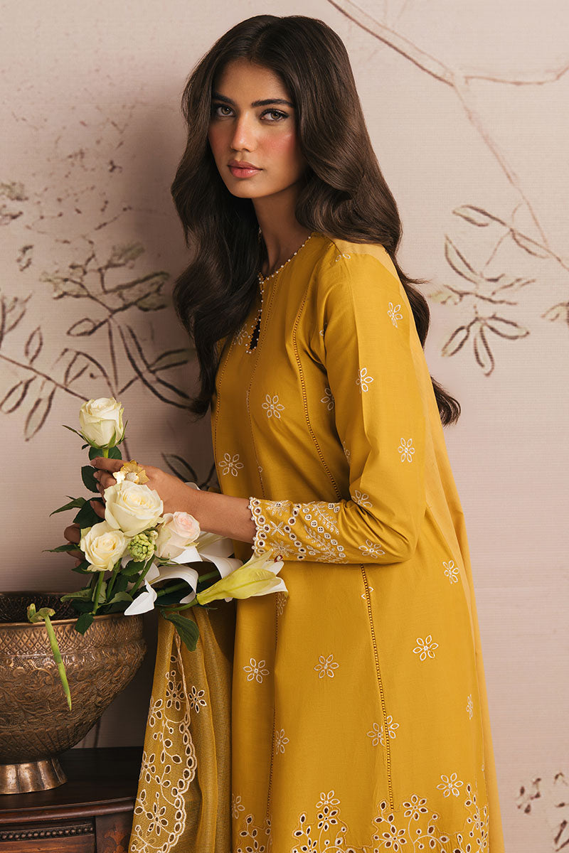AMBER GLOW-3PC CHIKANKARI SUIT