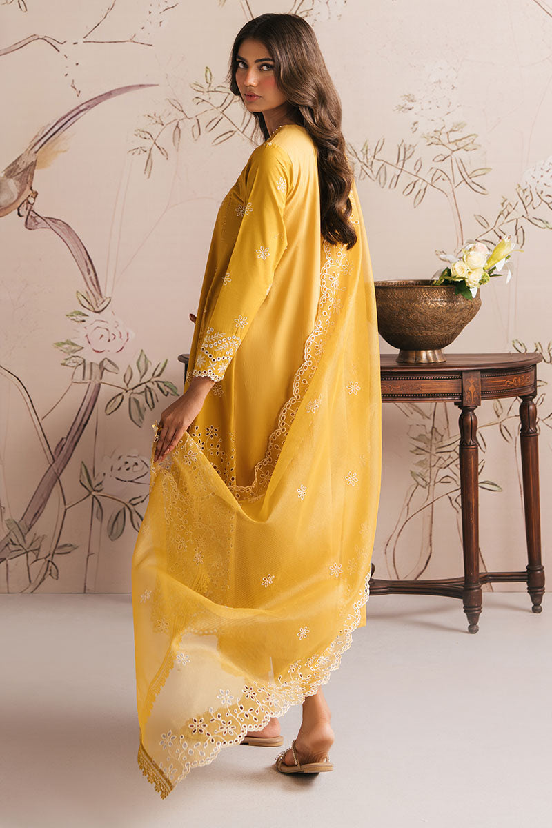 AMBER GLOW-3PC CHIKANKARI SUIT