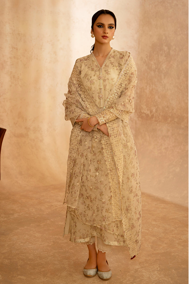 CLOUD CREAM-2 PIECE ORGANZA EMBROIDERED SUIT
