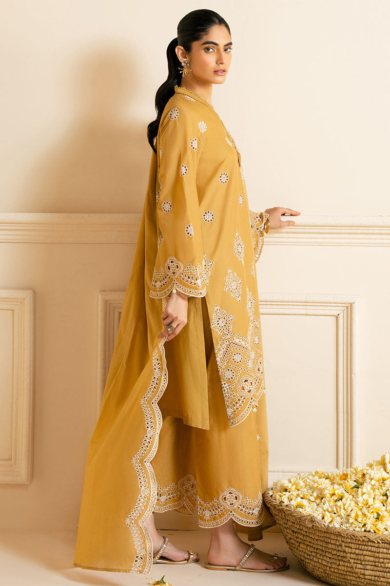 MEADOW GOLD-3PC CHIKANKARI SUIT