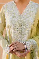 LIME WHISPER-2 PIECE (SHIRT & DUPATTA)
