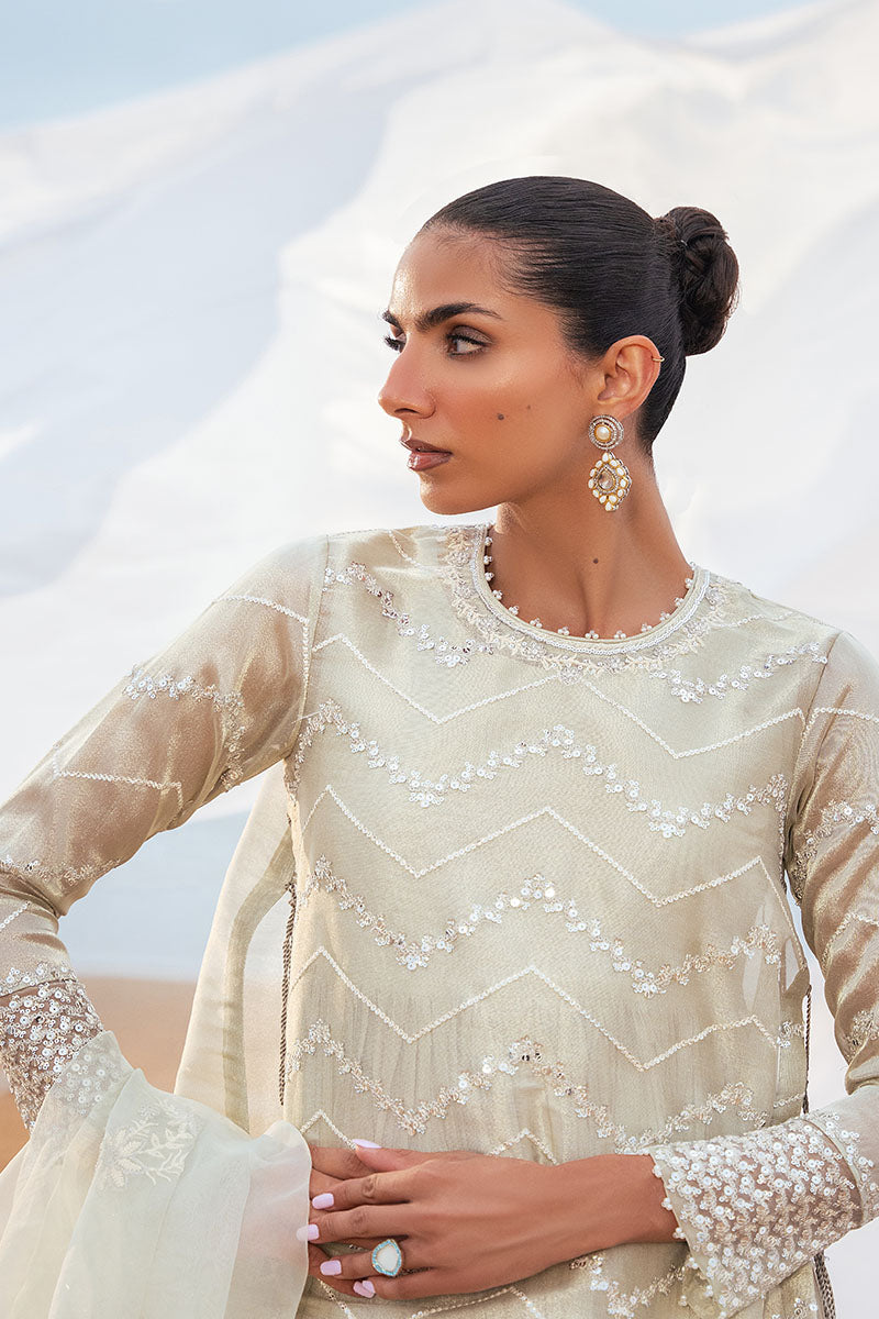 TWILIGHT CASCADE-3PC ZARI EMBROIDERED PRET