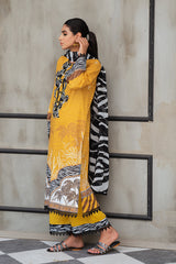 CANARY ALLURE - 3PC