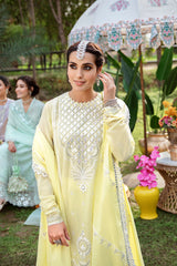 CANARY TALE 3PC