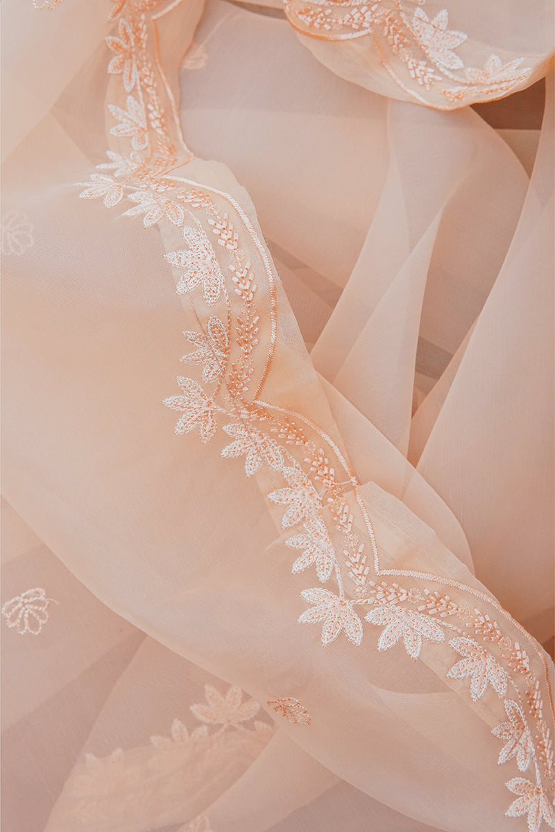SAANJH-ORGANZA DUPATTA