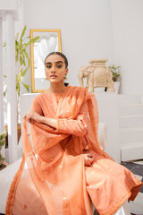TANGERINE ORCHID 2PC