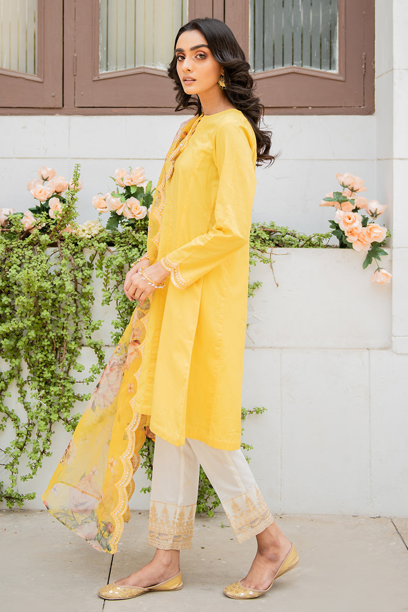 NOORI-2PC (SHIRT & DUPATTA)
