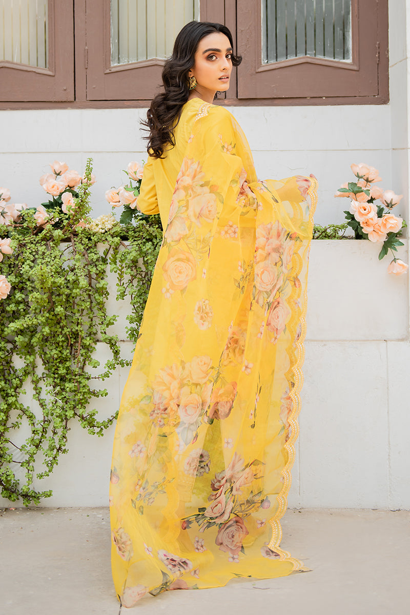 NOORI-2PC (SHIRT & DUPATTA)