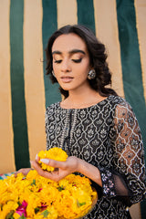 PAREESA EMBROIDERED SHIRT