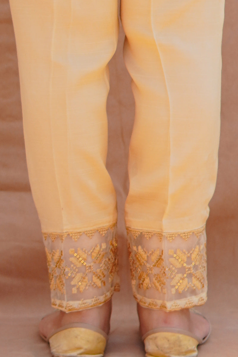 EMBROIDED PANTS 3