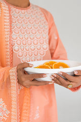 VIVID SUNSET-3PC EMBROIDERED LAWN SUIT