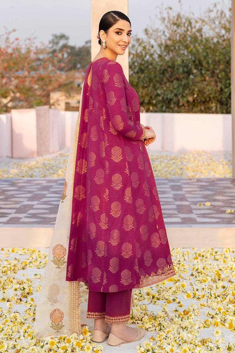 CRIMSON BLOOM-3PC COTTON JACQUARD SUIT