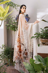 VERDANT APRICOT 4PCS