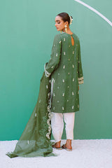 DERAWAR 2PC