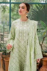 PISTACIA PEARL-3PC