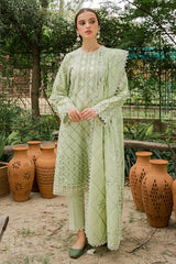 PISTACIA PEARL-3PC