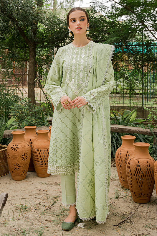 PISTACIA PEARL-3PC