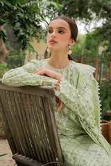 PISTACIA PEARL-3PC