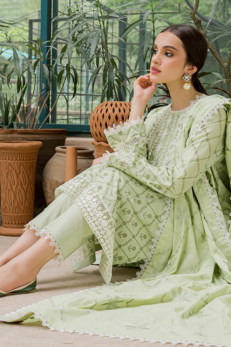 PISTACIA PEARL-3PC