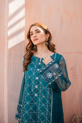 SATRANGI EMBELLISHED SHIRT