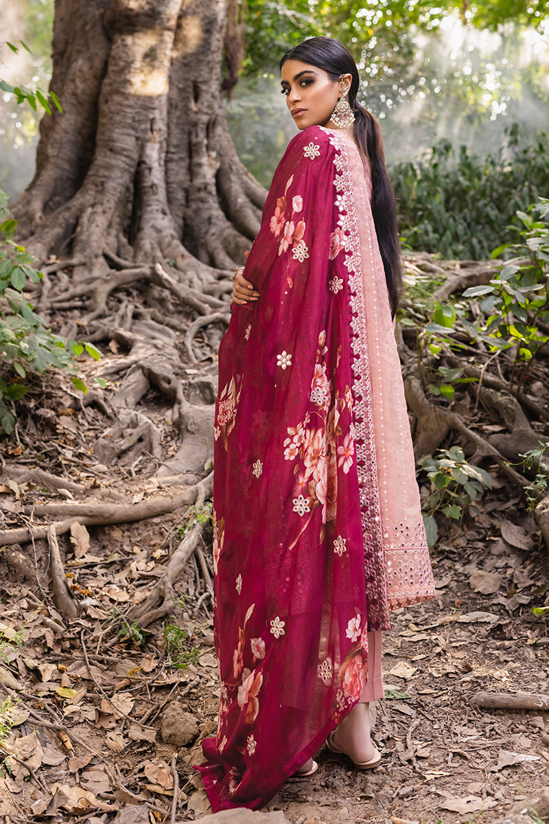 AMBROSIAL BLUSH-4PC EMBROIDERED ORGANZA SUIT