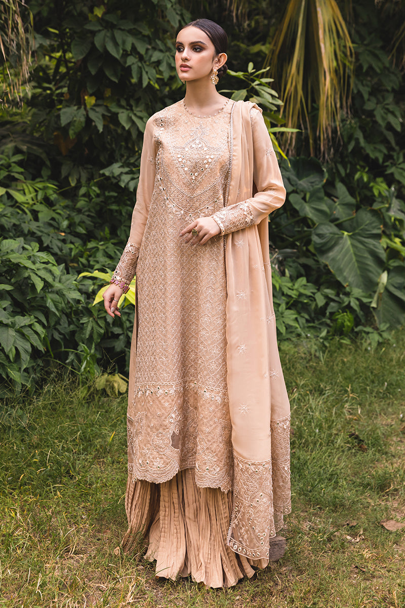 GLIMMER TAN-4PC EMBROIDERED CHIFFON SUIT