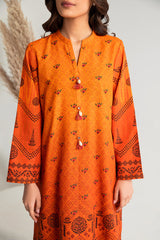 RUSTIC MELANGE-2PC PRINTED KHADDAR SUIT