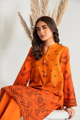 RUSTIC MELANGE-2PC PRINTED KHADDAR SUIT