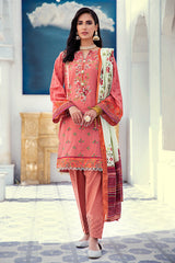 ROSE BLUSH - 3 PCS
