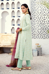 DAWN LUSTER - 3 PCS