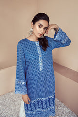 BLUE CHICKEN KARI