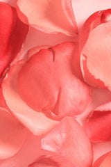 Slice Mask Rose Water-2 sheets