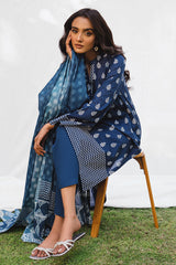 VINTAGE CRAFT-3PC PRINTED LAWN SUIT