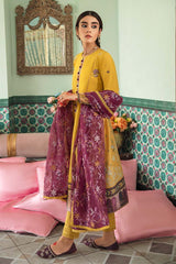 AMBER REVERIE-3PC