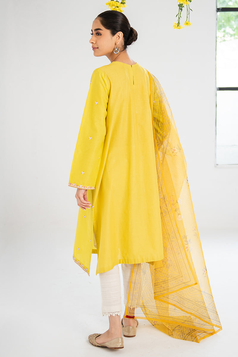 AMBER GLOW-2PC(SHIRT & DUPATTA)