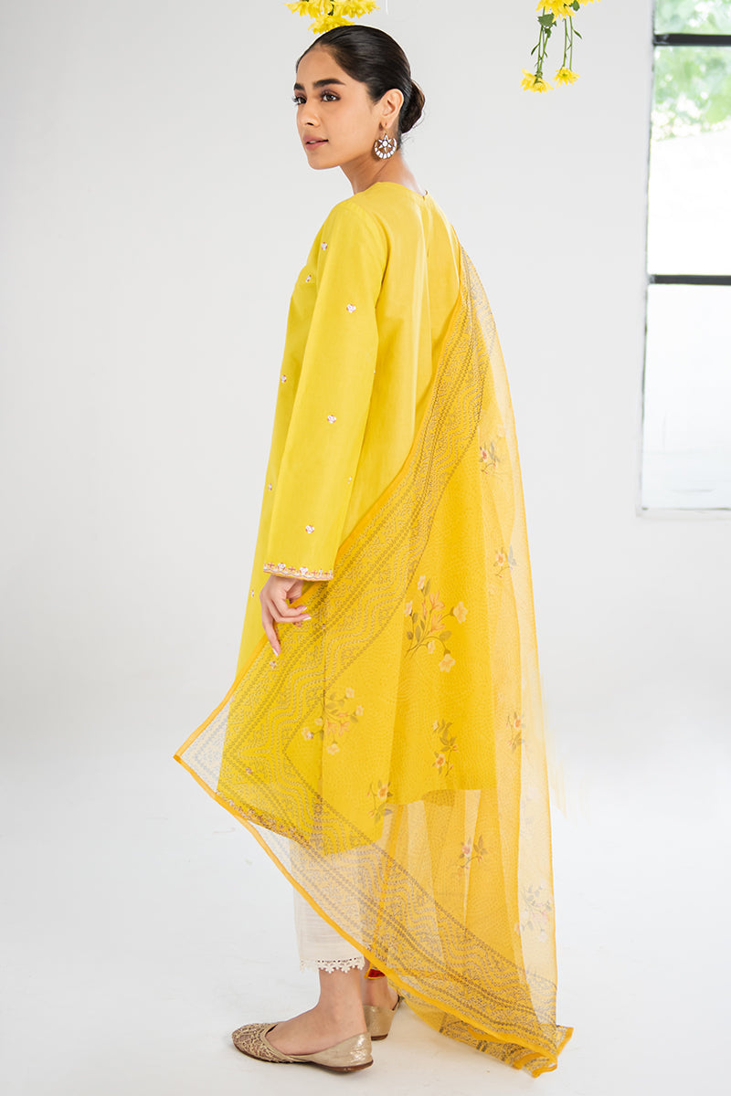 AMBER GLOW-2PC(SHIRT & DUPATTA)