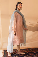 ELINOR DREAM-2PC(SHIRT & DUPATTA)